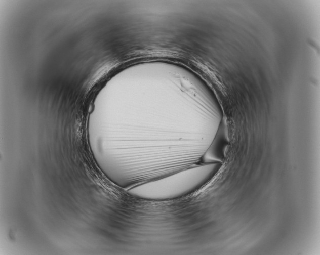 X0000095901163200802081133