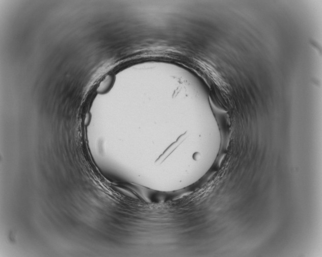 X0000095901164200802081133