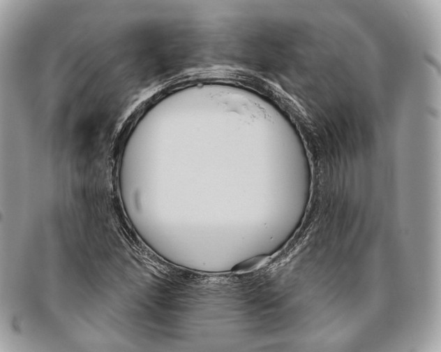 X0000095901166200802081133