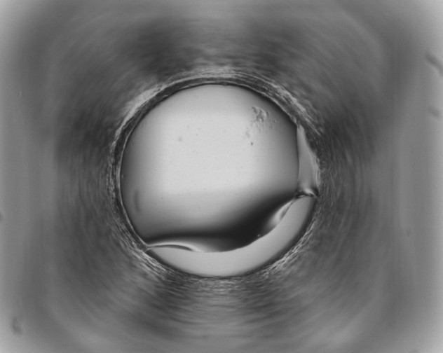 X0000095901168200802081133