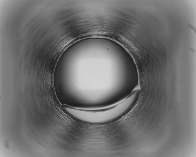 X0000095901169200802081133