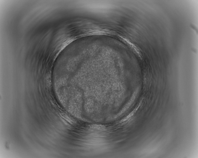 X0000095901170200802081133