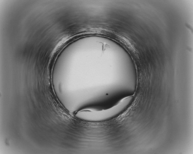 X0000095901172200802081133