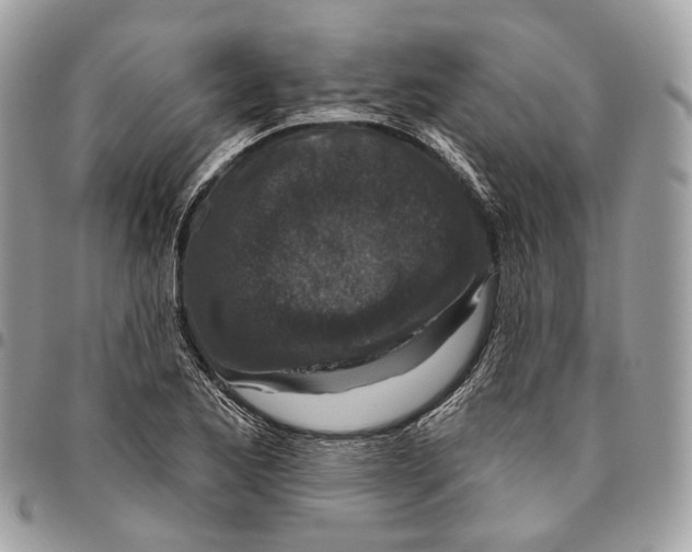 X0000095901173200802081133