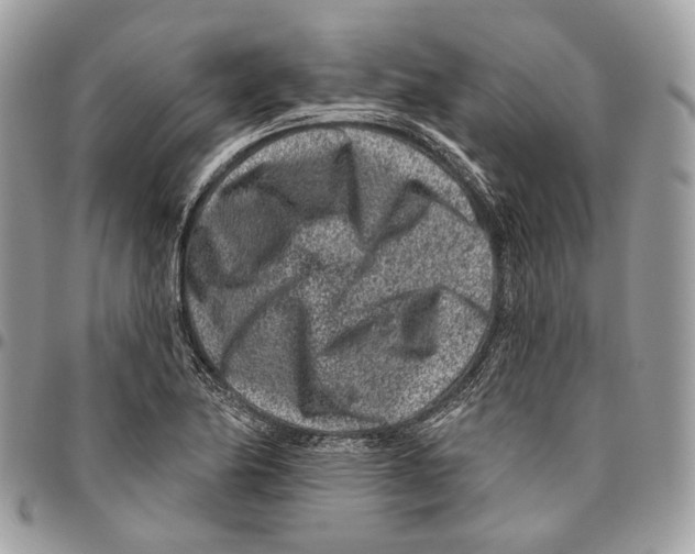 X0000095901174200802081133