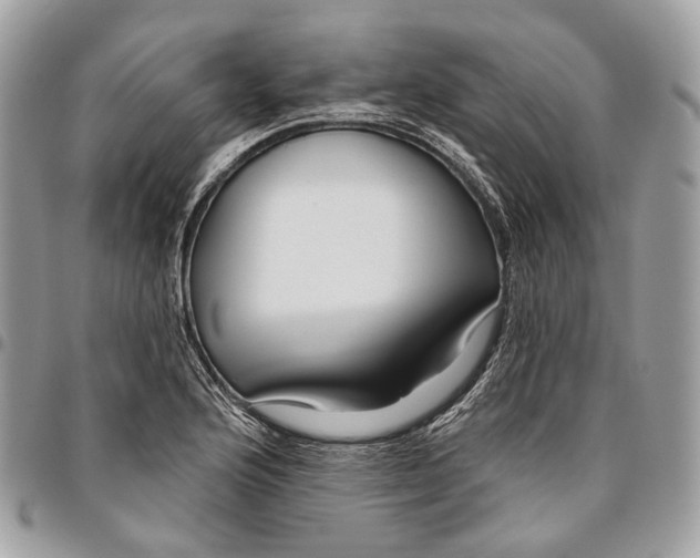 X0000095901176200802081133