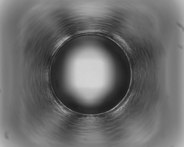 X0000095901177200802081133