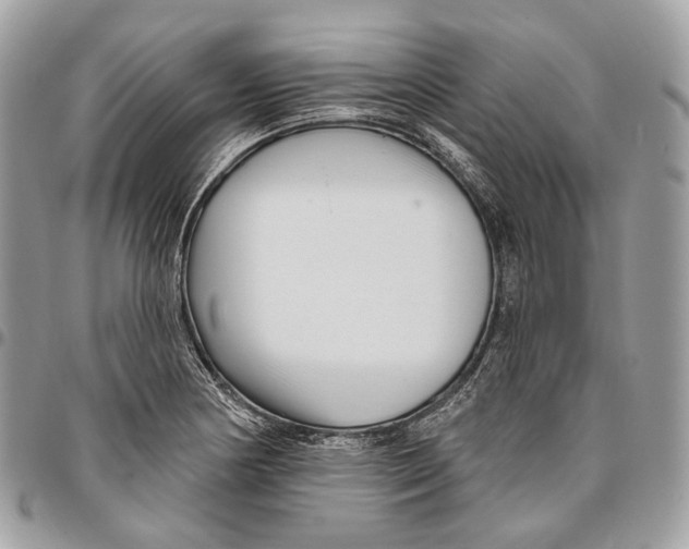 X0000095901178200802081133