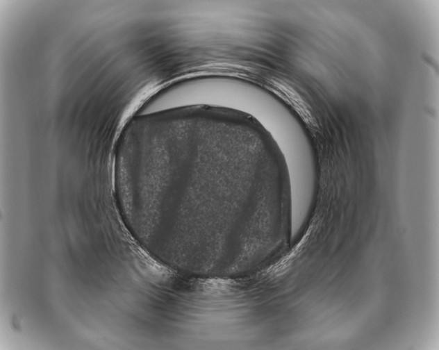 X0000095901180200802081133