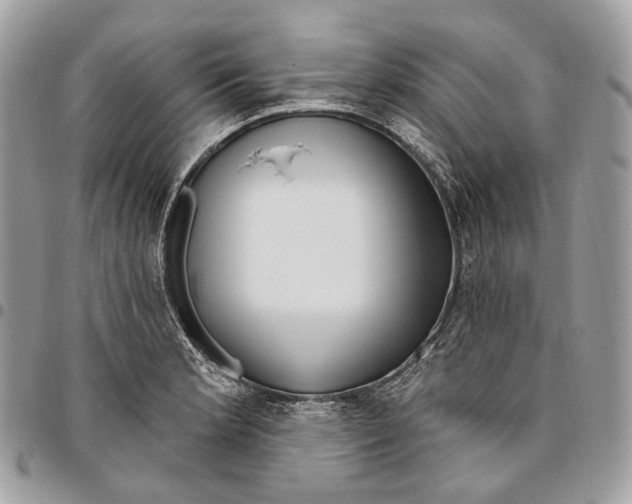 X0000095901181200802081133