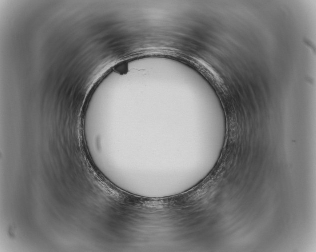 X0000095901182200802081133