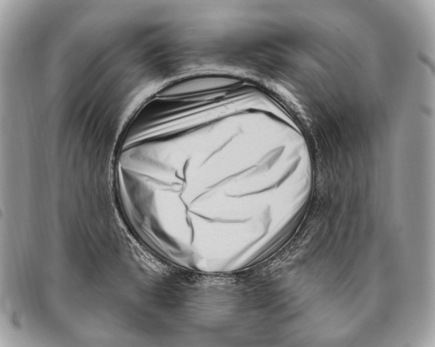 X0000095901183200802081133