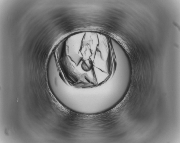 X0000095901184200802081133