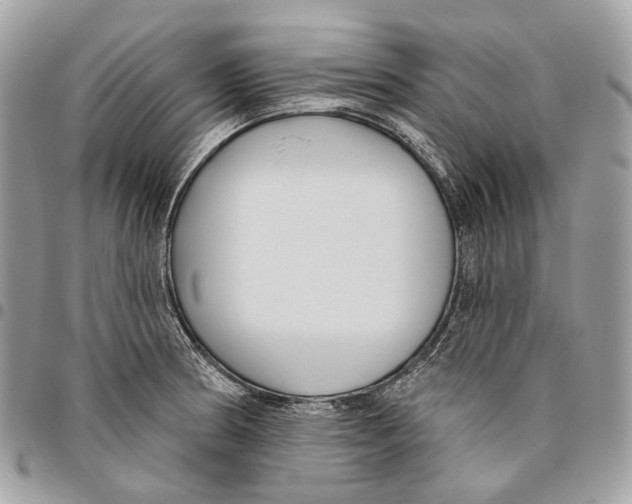 X0000095901186200802081133