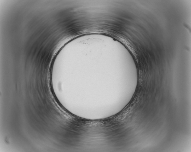 X0000095901187200802081133