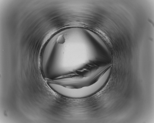 X0000095901188200802081133