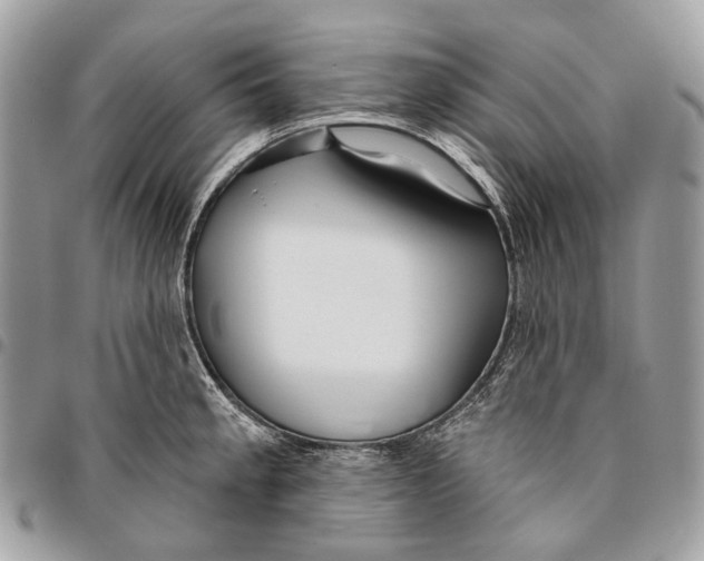 X0000095901189200802081133