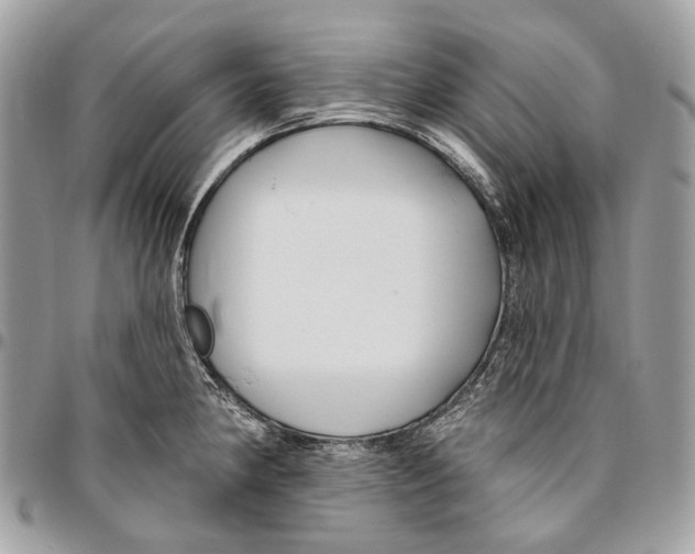 X0000095901190200802081133