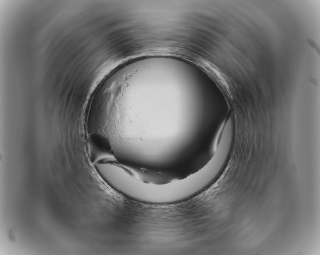 X0000095901192200802081133