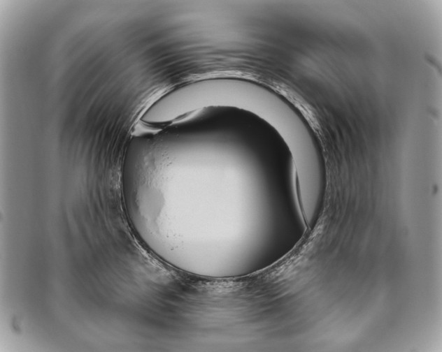 X0000095901193200802081133