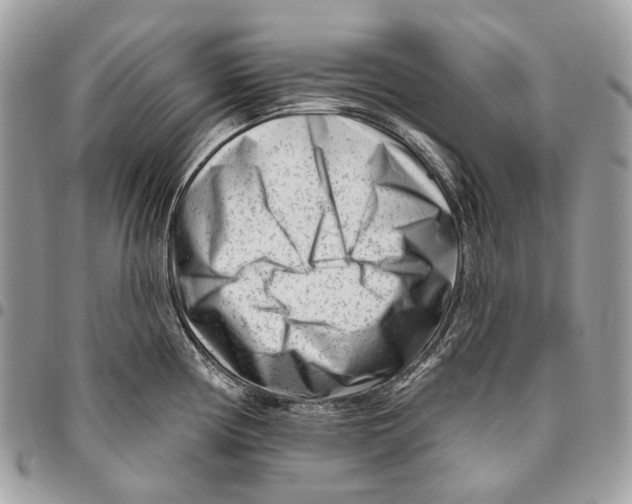 X0000095901194200802081133