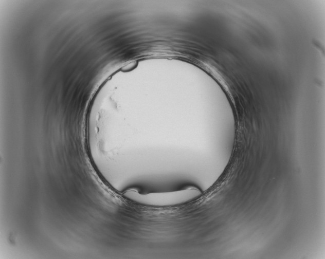 X0000095901195200802081133