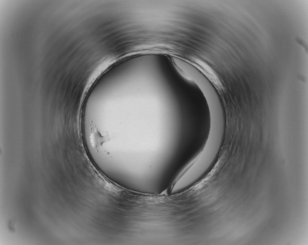 X0000095901196200802081133