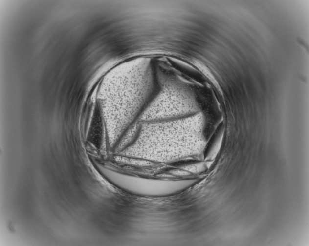 X0000095901197200802081133