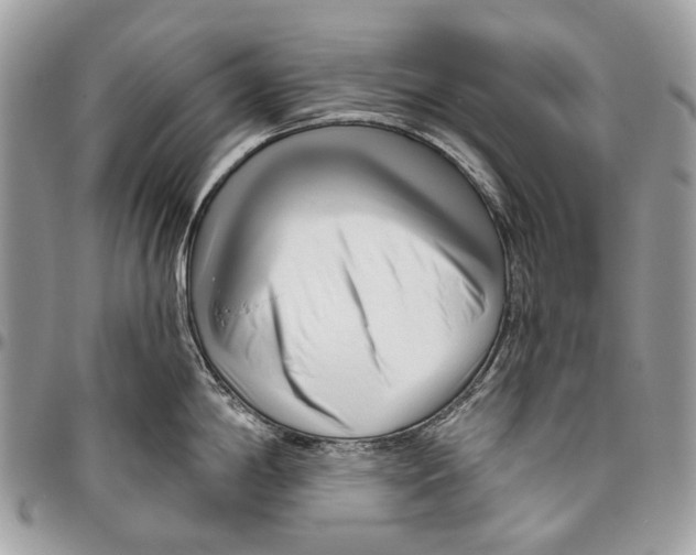 X0000095901198200802081133