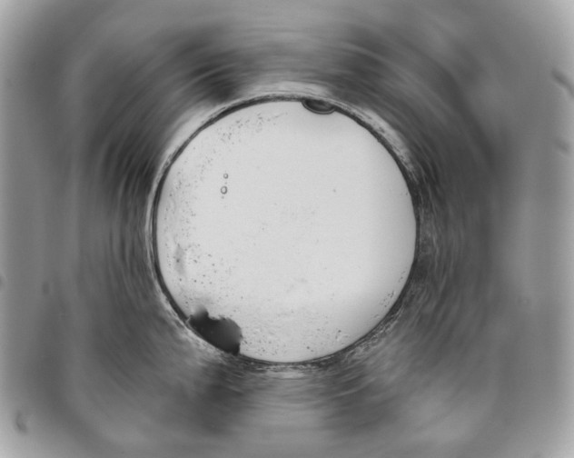 X0000095901199200802081133