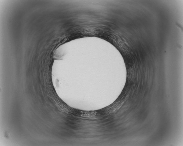 X0000095901201200802081132