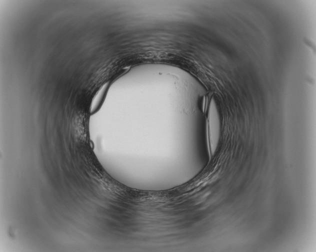 X0000095901202200802081132