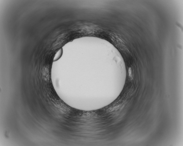 X0000095901203200802081132