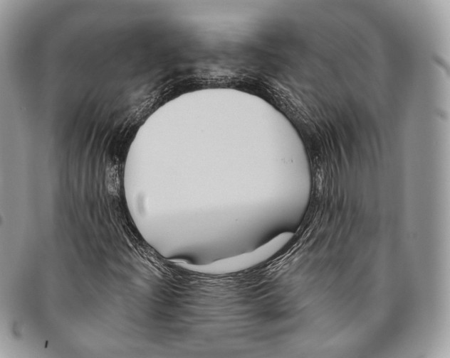 X0000095901204200802081132