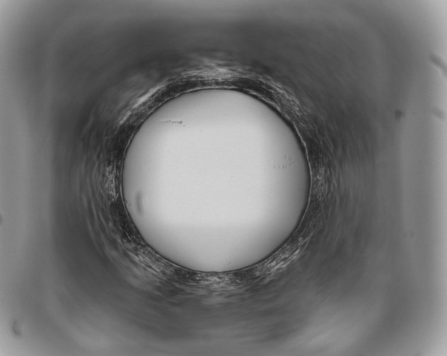 X0000095901205200802081132