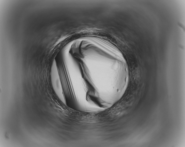 X0000095901206200802081132