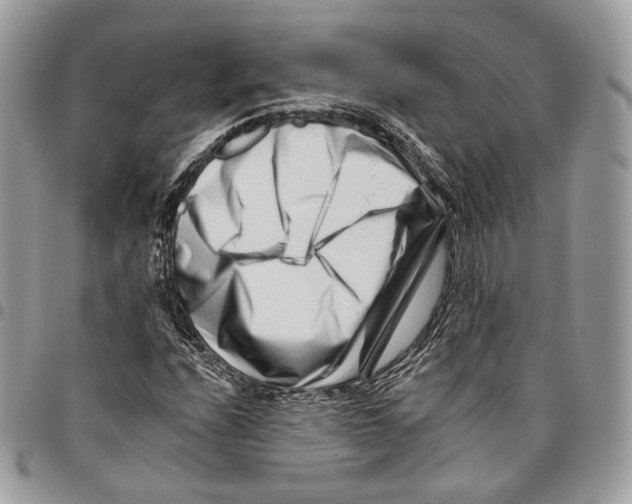 X0000095901208200802081132