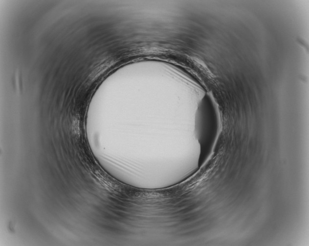 X0000095901209200802081132