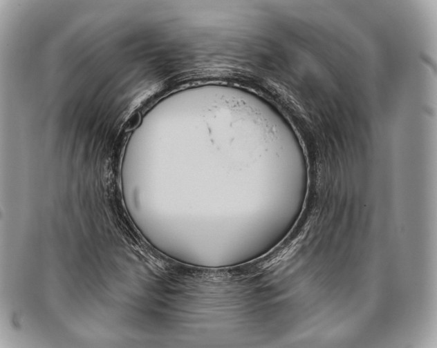 X0000095901210200802081132