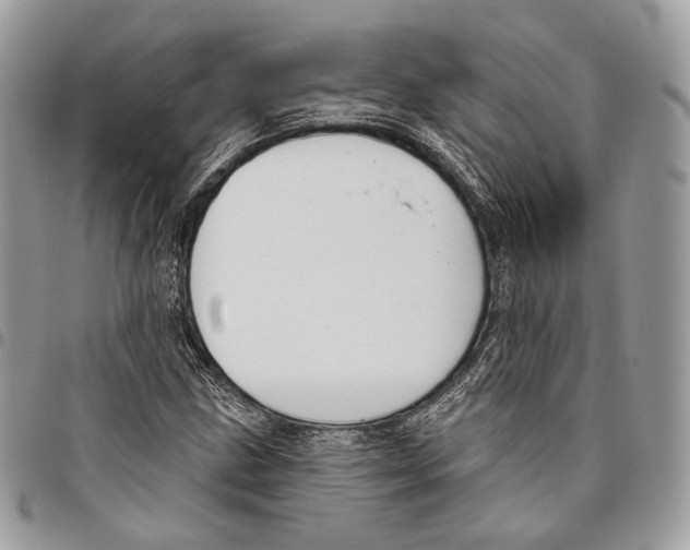 X0000095901211200802081132