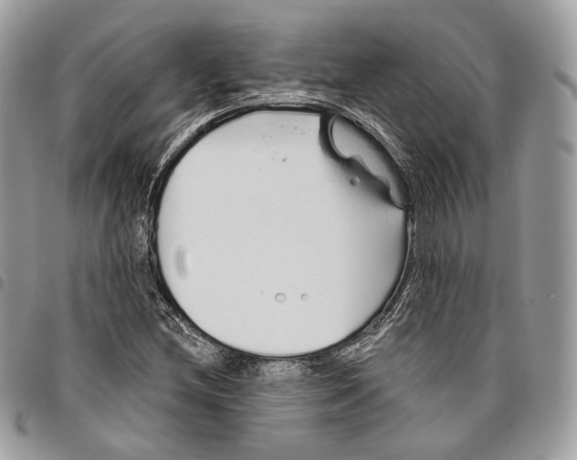 X0000095901212200802081132