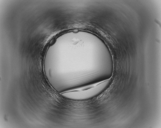 X0000095901214200802081132