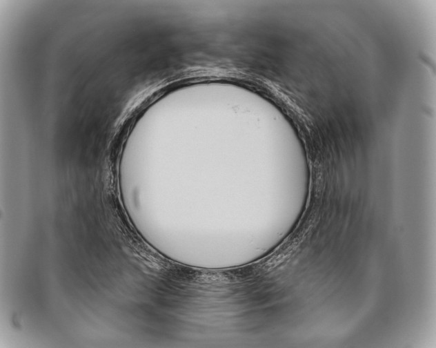 X0000095901215200802081132