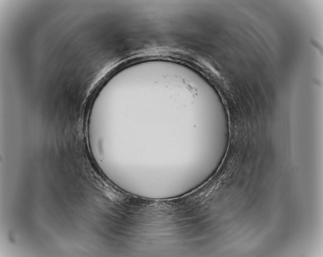 X0000095901216200802081132