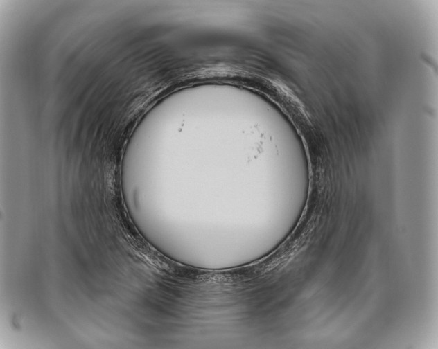 X0000095901217200802081132