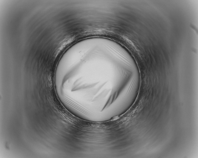 X0000095901218200802081132