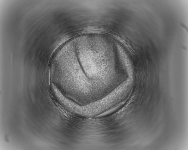 X0000095901219200802081132