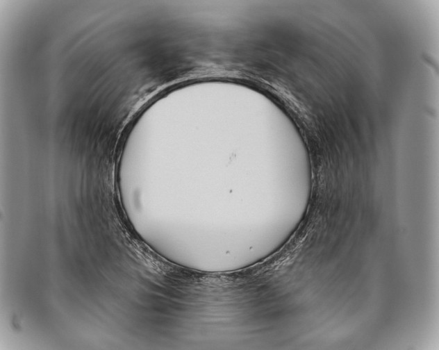 X0000095901220200802081132