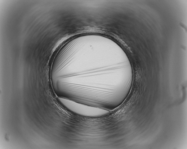 X0000095901222200802081132