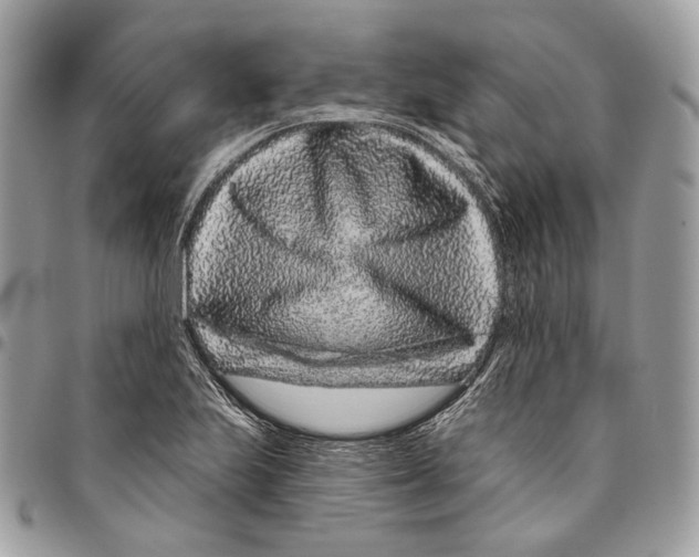 X0000095901223200802081132